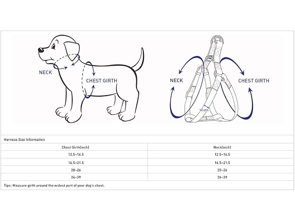 Blueberry Pet Essentials Step-in Spring Scen