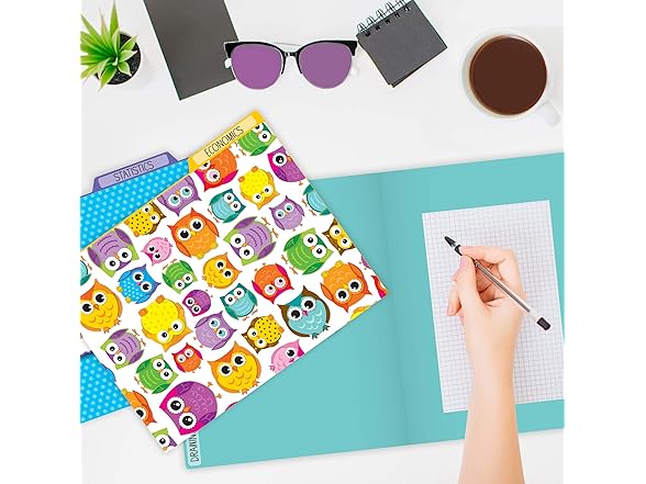 Carson Dellosa Owl Decorative File Folder Set