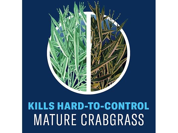 BioAdvanced All-in-One Lawn Weed & Crabgrass Killer
