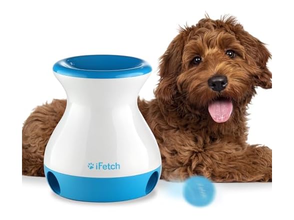 iFetch Frenzy Interactive Dog Toy
