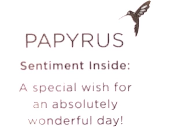 PAPYRUS Everyday Card, 1 EA