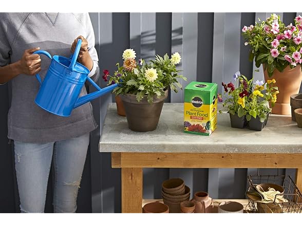 Miracle-Gro All Purpose Plant Food
