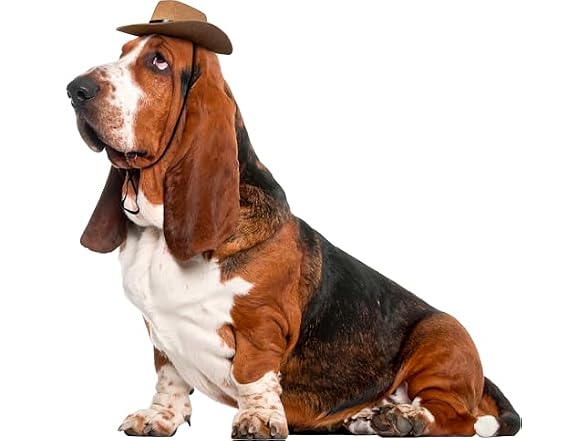 Rubies Cowboy Pet Hat for Dogs or Cats, M/L