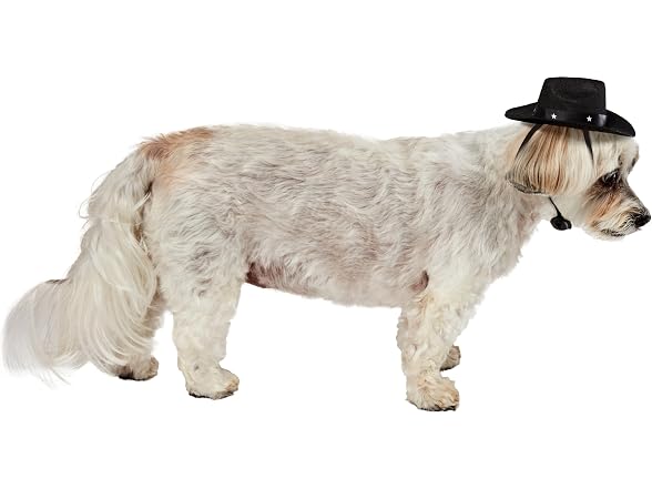 Rubies Rubies Cowboy Pet Hat for Dogs or Cats