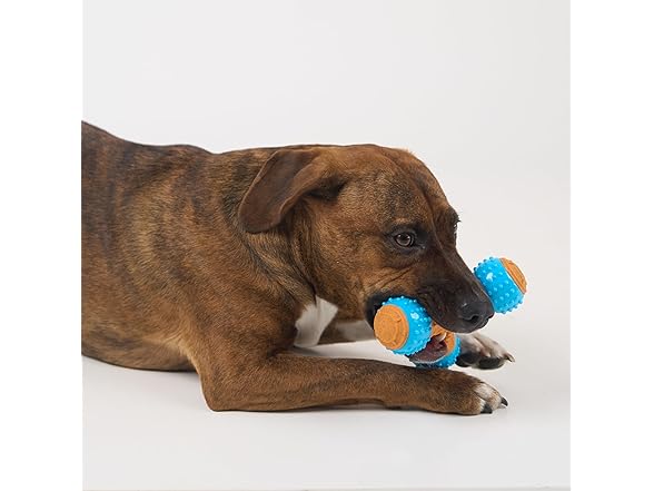 SPOT Bam-Bones PLUS Gigglers Dog Toy