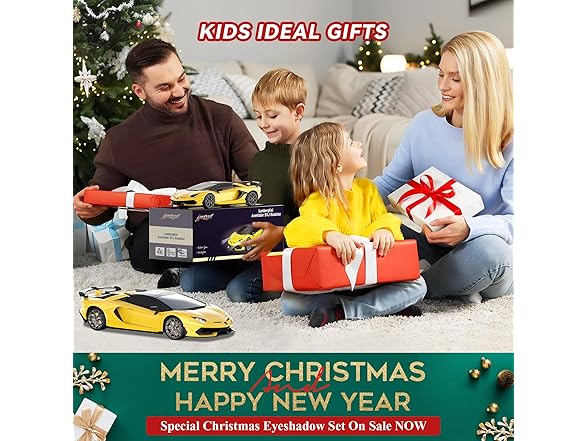 AEROQUEST 1:16 Lamborghini Remote Control Car