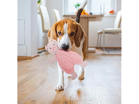 Linzy Plush Flat Crinklez Pig Dog Toy, S