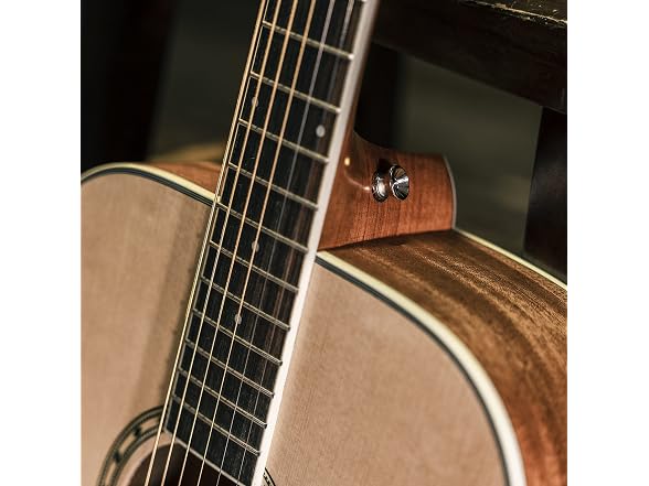 Peavey Delta Woods DW-2 Solid Top