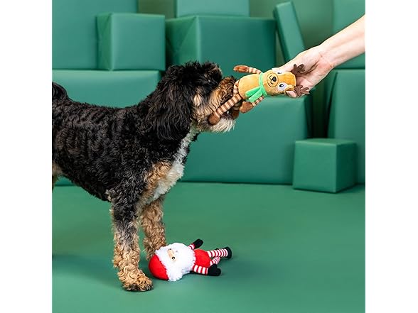 Fringe Studio Pet Toy, Friend at Frost Sight Dog Toy 2 Pk