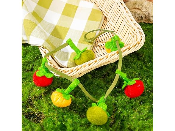 Layheld Cat Teaser Fruit-Shaped Squeaky String w Catnip