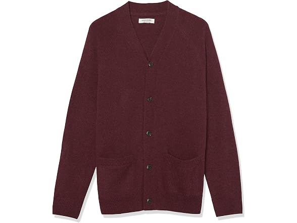 Amazon Essentials Men V-neck Sweater (X-Small)