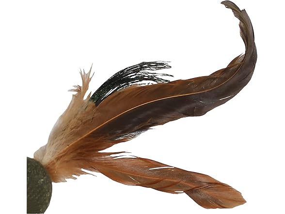 Penn-Plax Compressed Catnip Birdie