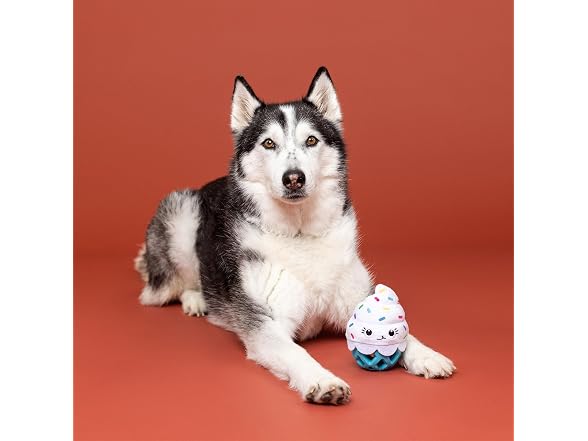 Fringe Studio Rubber Dog Toy, HERE for The Cupcakes