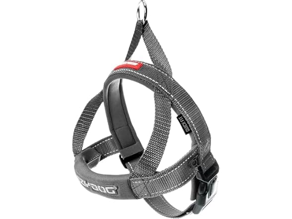 EzyDog Quick Fit Dog Harness, Soft Neoprene