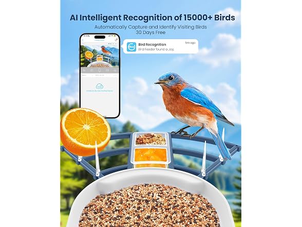 Smart Bird Feeder With Camera, Ai Bird
