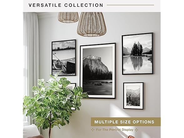 MCS Everline Collection 14x20 Matted Poster Frame