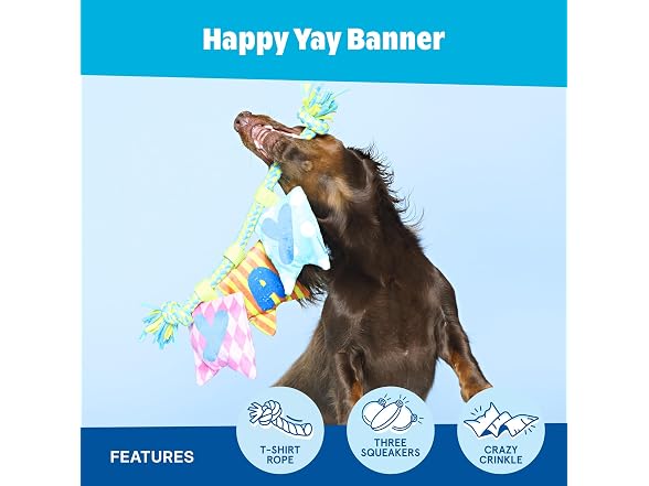 BarkBox Happy Yay Banner Dog Toy - Toy