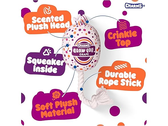 Blow Pop Plush & Rope Dog Toy