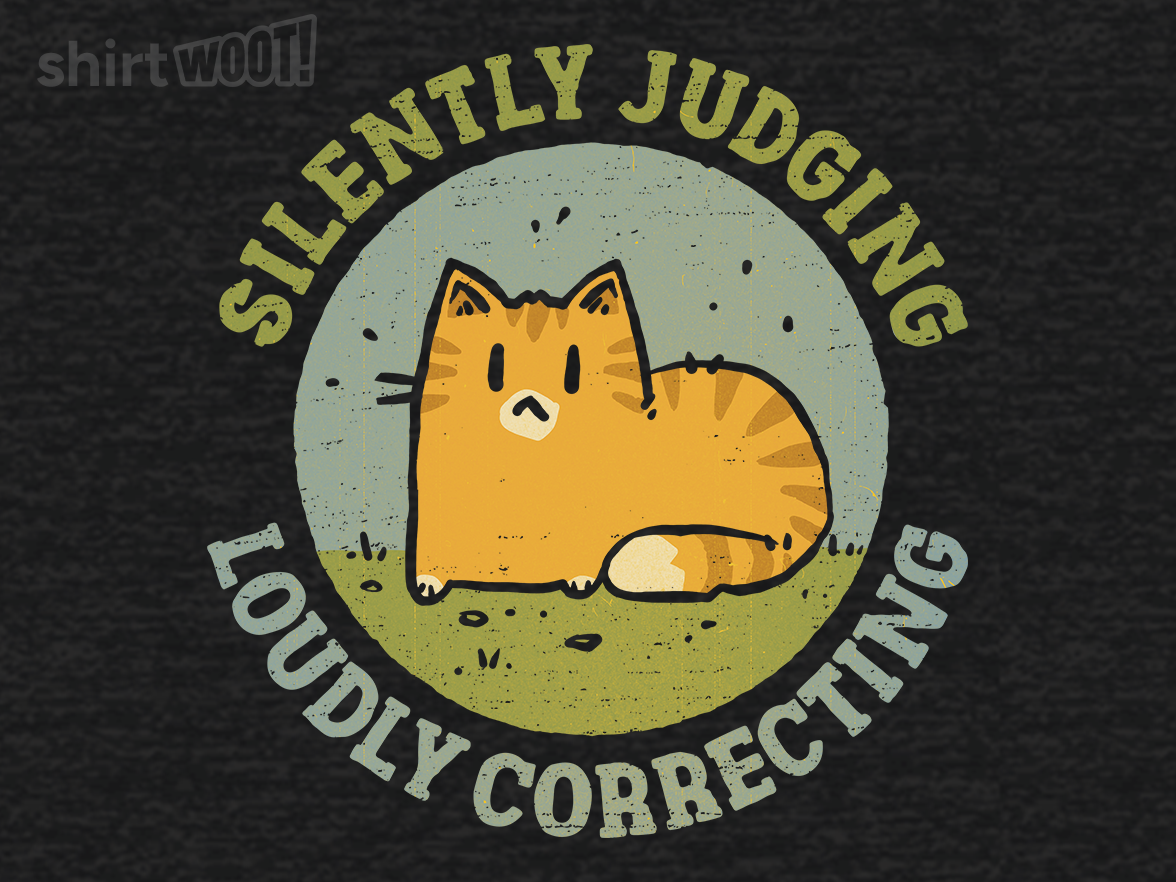 Silently Judging and Loudly Correcting - Gallery 9