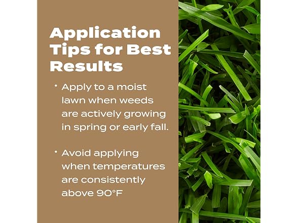 Scotts Turf Builder Weed & Feed