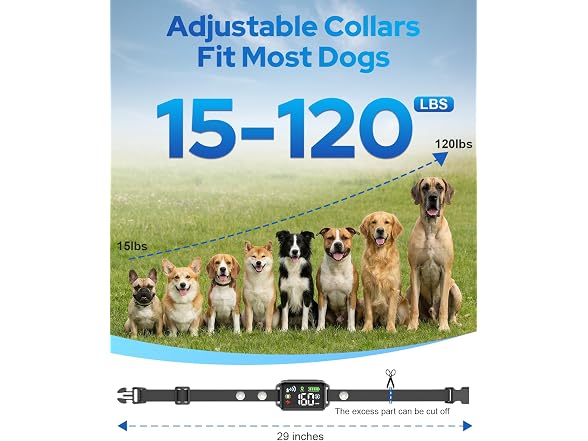 Petutor BC9991260656574 GPS Wireless Dog Fence