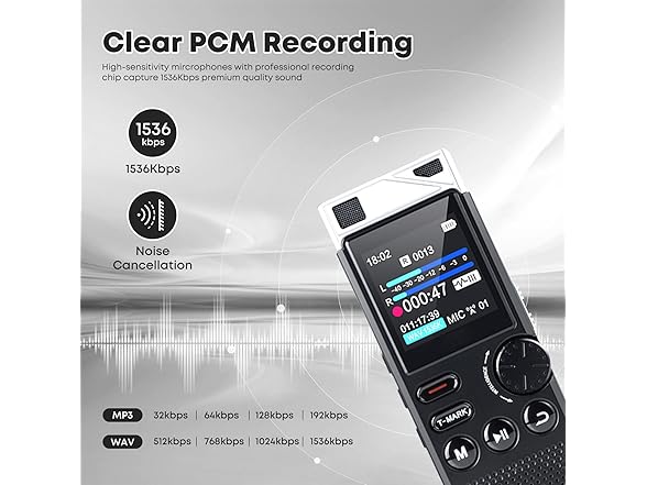 Professional Digital Voice Recorder | 264GB