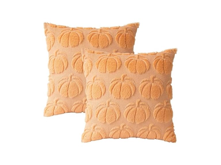 Pumpkin Fall Decorative Throw Pillow Covers