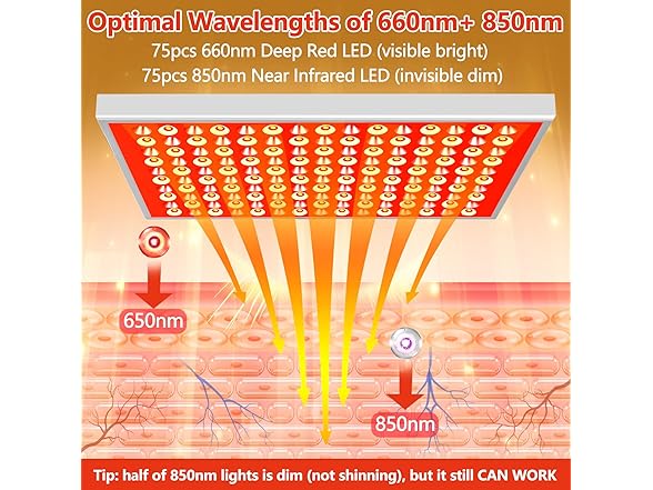 Red Light Therapy for Body Face