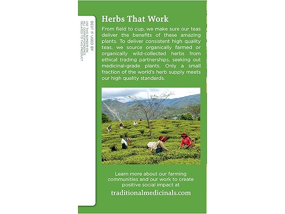 Green Tea Matcha Bags 16ct