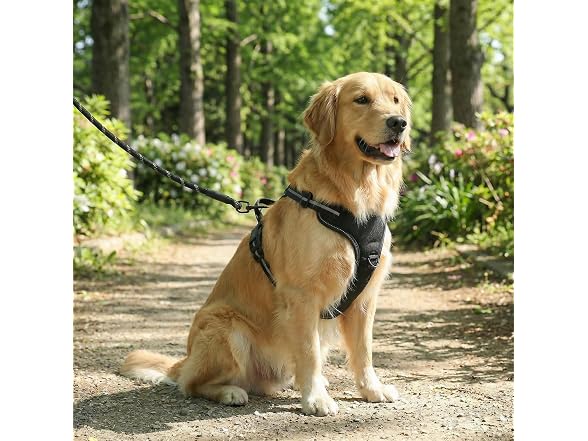 Amazon Basics No-Pull Dog Harness, Soft Padded XL Black