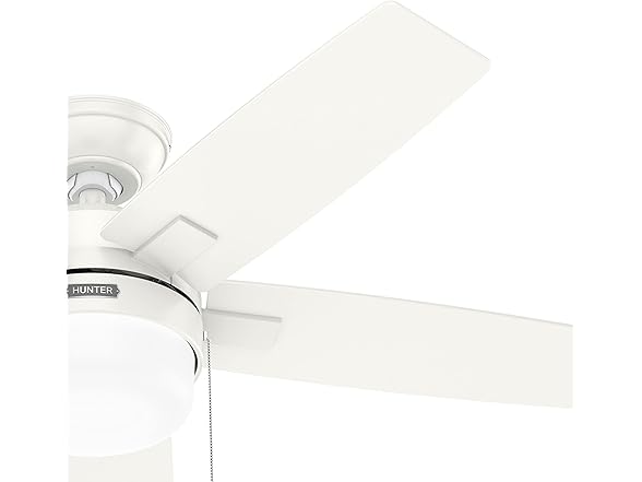 Hunter Fan 44 Inch Contemporary Fresh White Fan