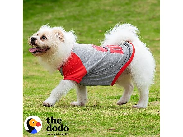 The Dodo #1 Dog T-Shirt for Dogs, Size Extra Small