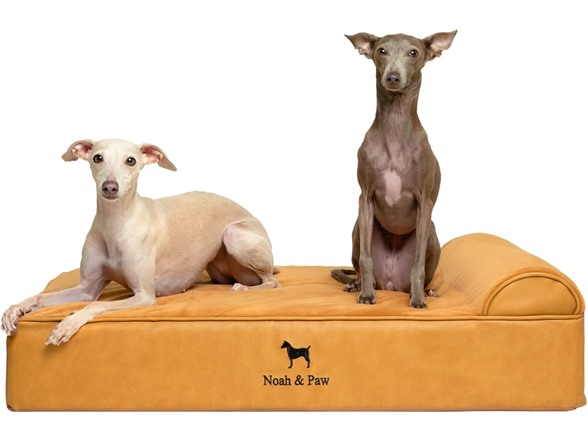 NOAH & PAW Orthopedic Dog Beds- Large