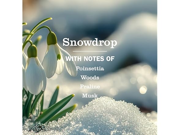 Mrs. MEYER'S Mrs Meyer's Room Spray Snowdrop, 8oz