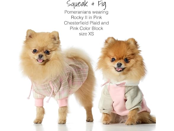 Pet Passion Rocky II Dog Hoodie, Pink Color Block, XXS