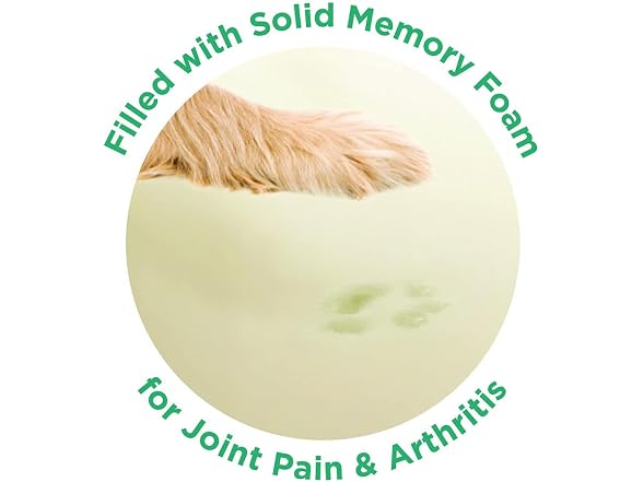 Friends Forever Serena Donut Memory Foam Orthopedic Dog Bed