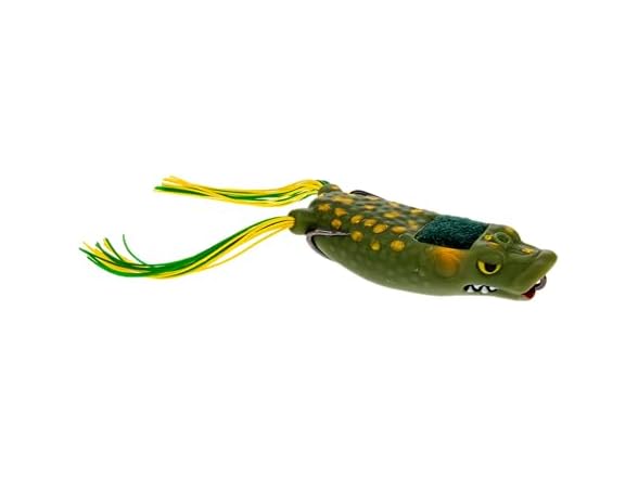 Kelly's Frog