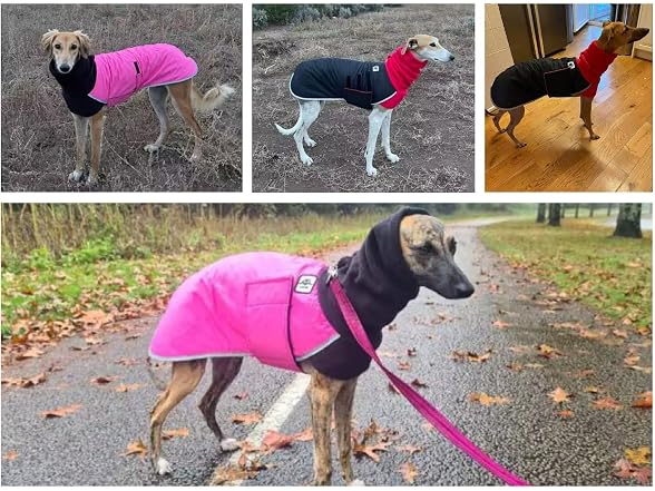 Greyhound Winter Coat, Dog Jacket Waterproof