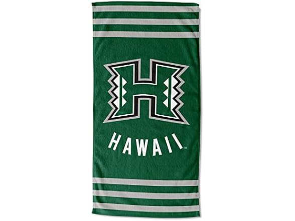 The Northwest Company Stripes Beach Towel