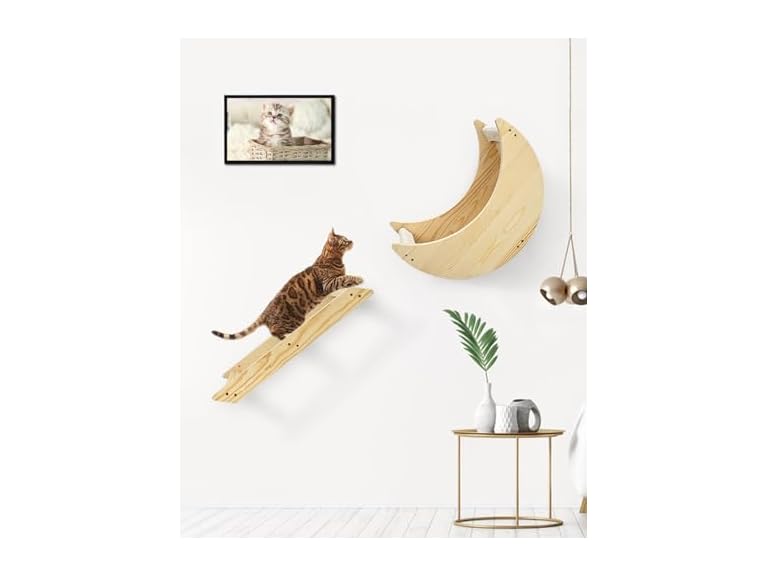 CYDDUP Cat Wall Shelves with Step