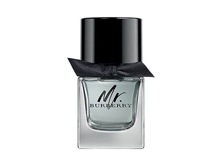 Burberry Mr. Burberry EDP 3.3oz Men