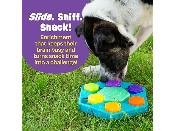 Brightkins Spin & Seek Hexagon Treat Puzzle