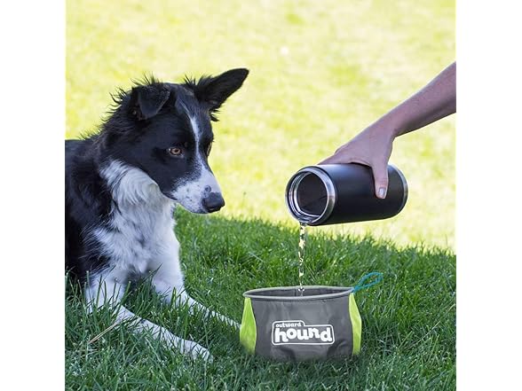 Outward Hound Port-A-Bowl Portable Dog Dish, 48 oz