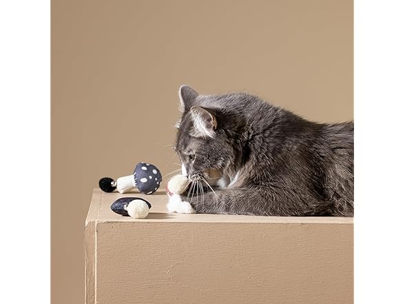Fringe Studio Forest Finds Cat Toy Mini Sets of 3