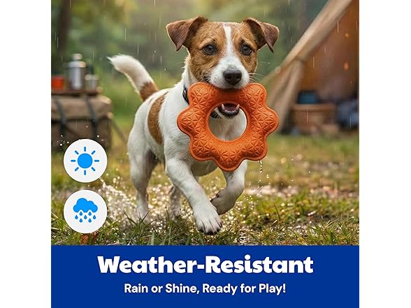 American Kennel Club AKC Sport Wavy Ring