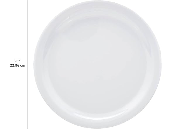 6PC Amazon Basics Melamine (Plastic) Plate, 9 in.