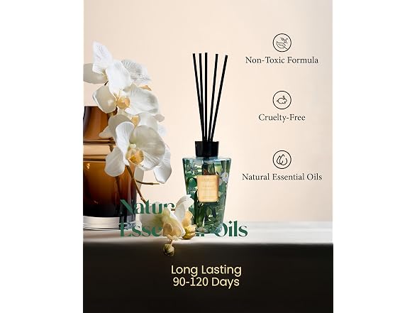 Reed Diffuser Set, 8.79 oz Natural