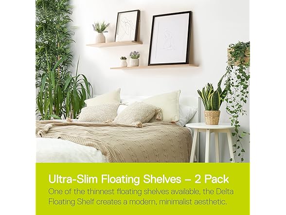 Delta Cycle 2-Pack Floating Shelves 24" x 8" x 0.5"