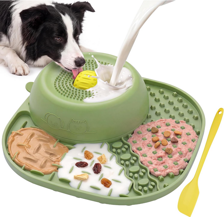 CEBOWA BSlow Feeder Dog Bowl - Gallery 12