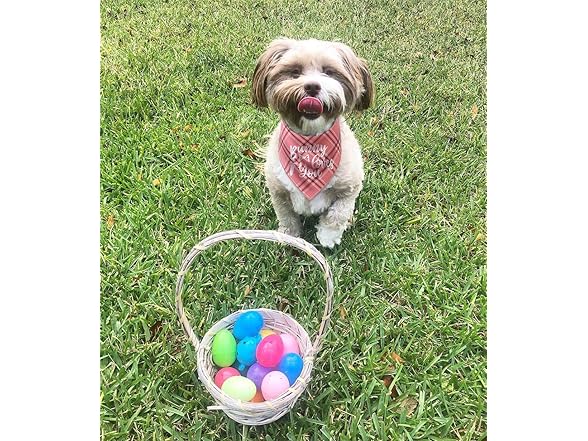Pawskido Dog Easter Bandana - Pack of 2